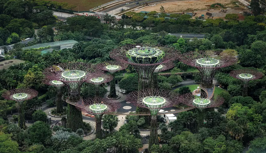Singapore — photo 2