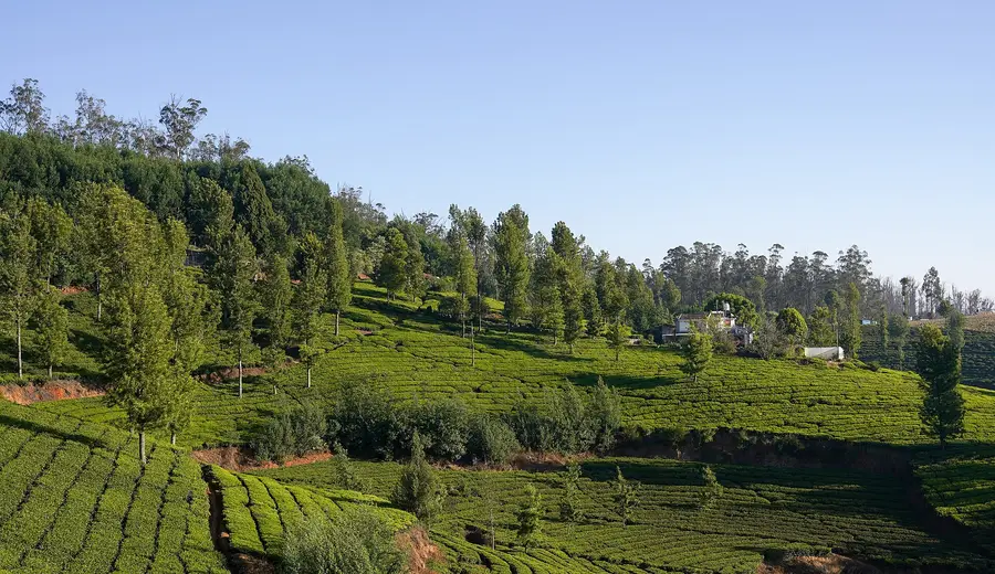 Bangalore, Mysore & Ooty — photo 3